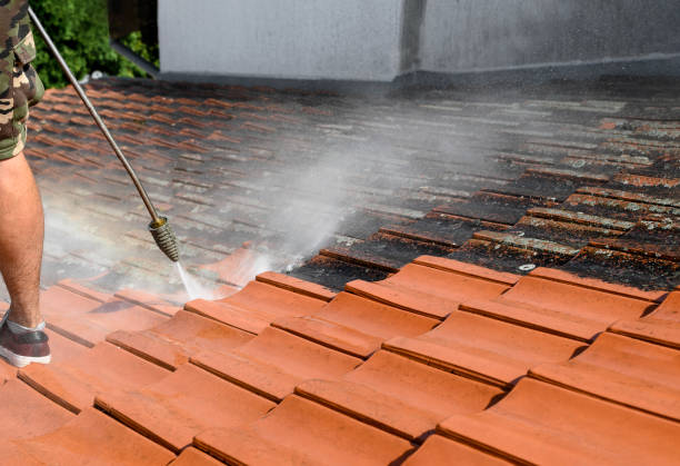 Best Residential Pressure Washing Services  in Newton, NC